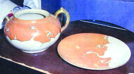 SFU21 by Shofu (Japan)