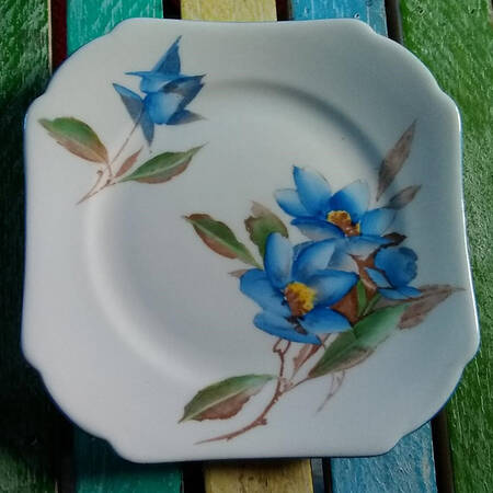 Syringa Blue by Shelley