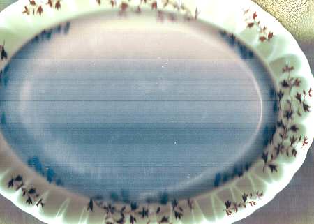 SP513 by Spode