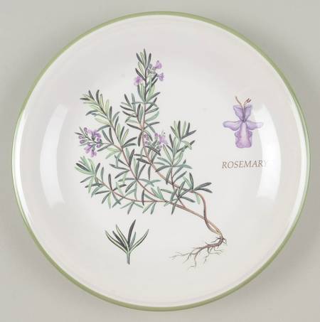 Studio Nova Herb Garden Salad Plate