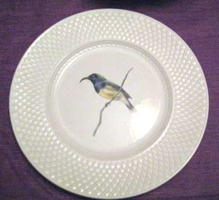 SP576 by Spode