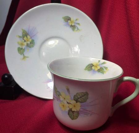 Primrose (Unknown Shape) by Shelley