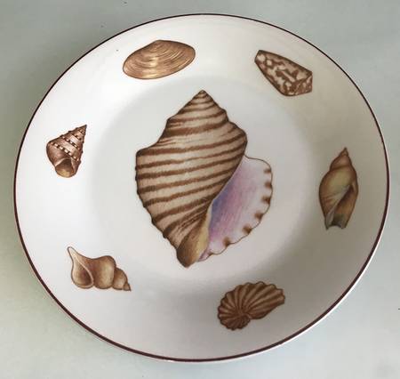 Coquilles by Sigma