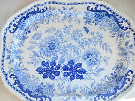 Jasmine by Spode