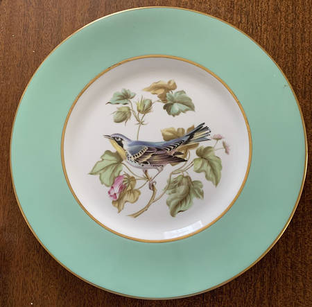 Y7218 by Spode