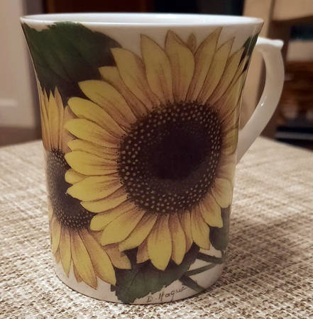 Sunflower by Spencer Stevenson 
