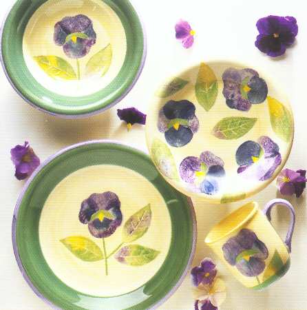 Pansy by Tienshan