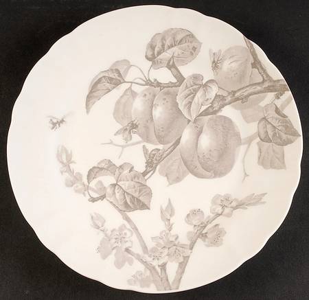 Austin Floral Ivory by Thomas O'Brien