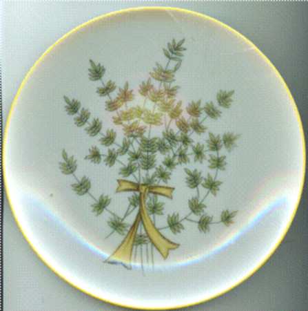 Rosemary by Taste Setter
