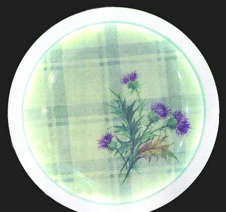 Highland Thistle by Wood & Sons