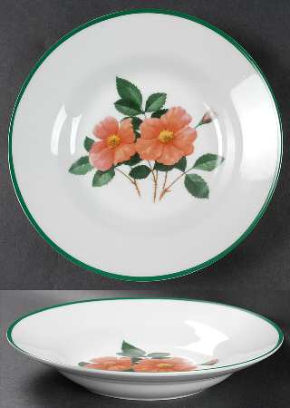 National Wildlife Federation American Wildflowers Rim Soup Bowl
