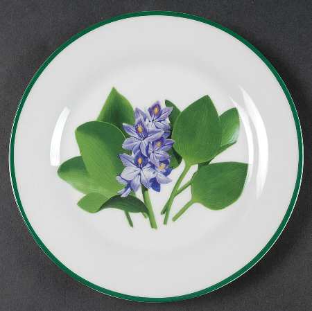 National Wildlife Federation American Wildflowers Salad Plate