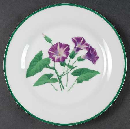 National Wildlife Federation American Wildflowers Salad Plate