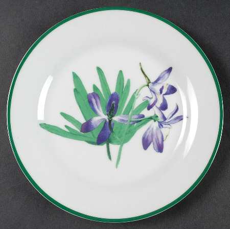 National Wildlife Federation American Wildflowers Salad Plate