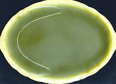 1611 by West End Pottery Co