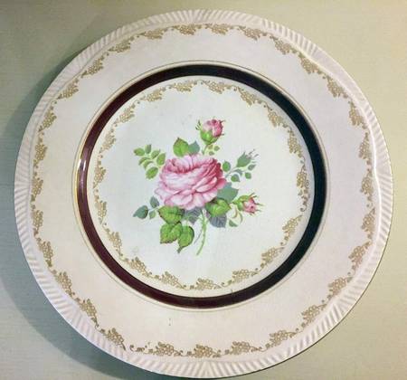 Princess Rose by Winterton