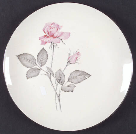 Zylstra Rose (Coupe, USA, Cream) by Zylstra