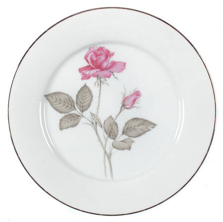 Zylstra Rose (Rim Shape, Phillipines) by Zylstra