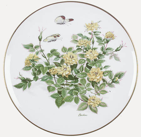 Miniature Rose Plate Collection by Boehm