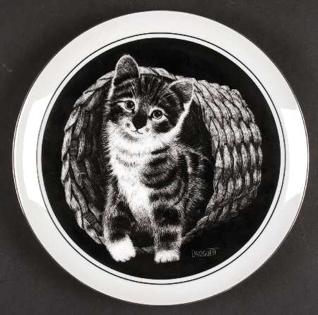 Kittens World by Royal Cornwall