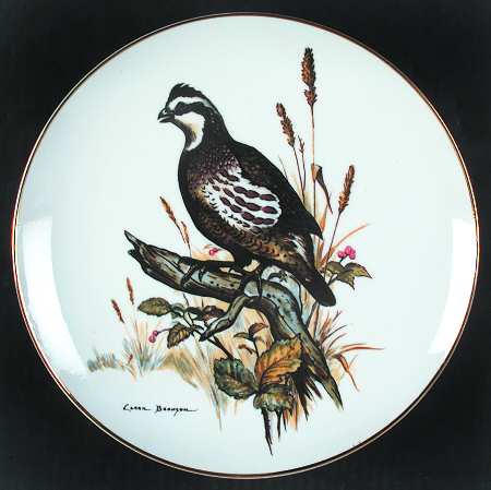 Clark Bronson Wildlife Series by Clark Bronson