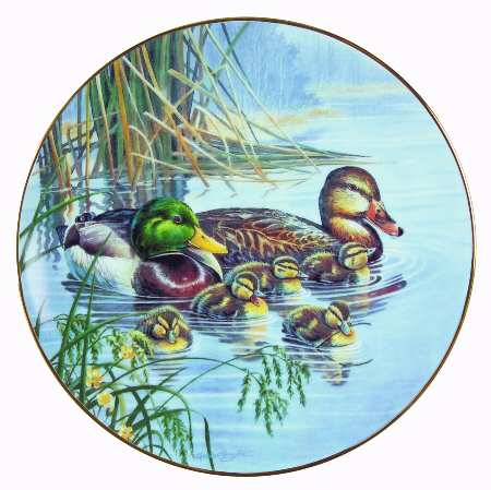 Loving Look:Duck Families by WS George