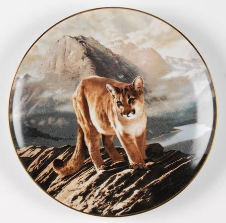 Worlds Most Magnificent Cats by WS George