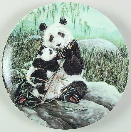 Secret World Ofthe Panda by WS George