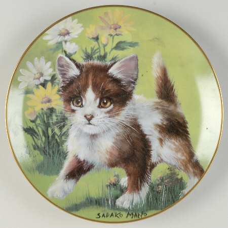 Daisy Cats by Hackett American