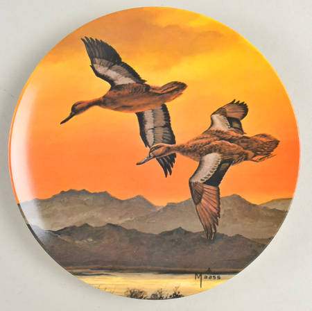 Wings of The Wild by Hoyle