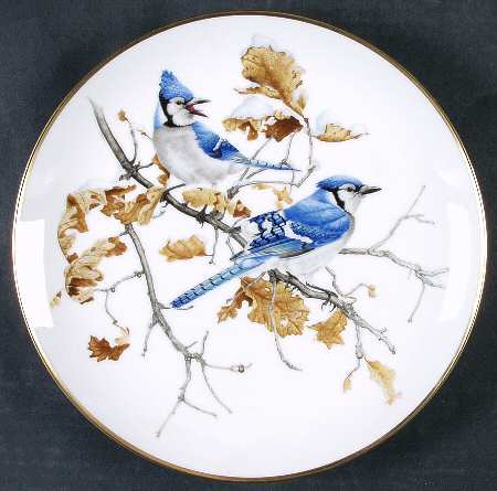 Feathered Friends by Kaiser