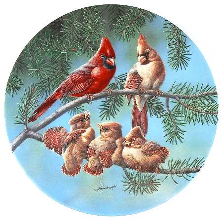 Backyard Harmony by Edwin Knowles
