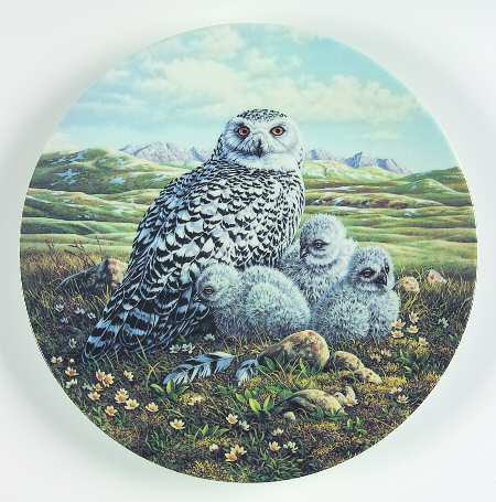 Under Mothers Wing-Plate by Edwin Knowles