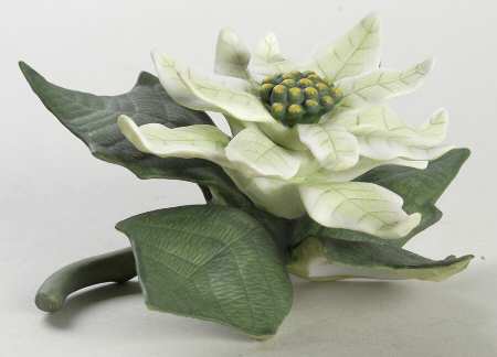 Lenox Garden Flowers White Poinsettia - Boxed