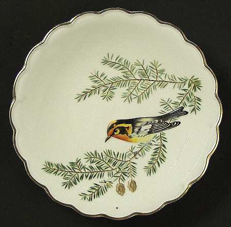 The Birds of Dorothy Doughty by Royal Worcester