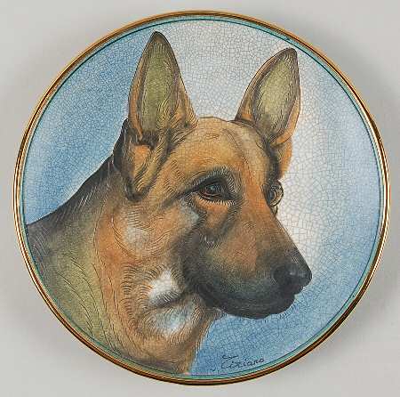 Dogs by Veneto Flair