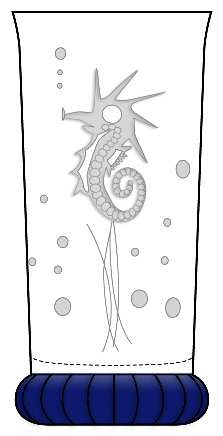 Seahorse Cobalt Blue (Line 502) by Duncan & Miller