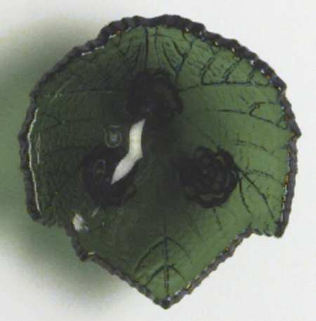 Grape Leaf Green by Fostoria
