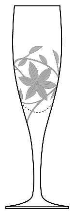 Clematis by Hoya