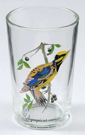 Exotic Bird by Kig (Indonesia)