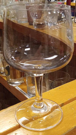 Schott-Zwiesel Europa Plain Wine Glass