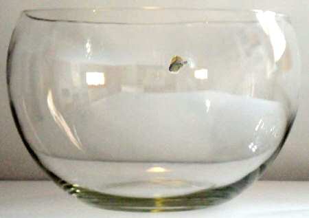 77 by West Virginia Glass Specialty