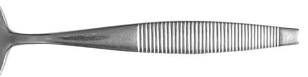CVH5 (Stainless) by Carvel Hall
