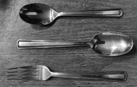 CBS215 (Stainless) by Cambridge Silver