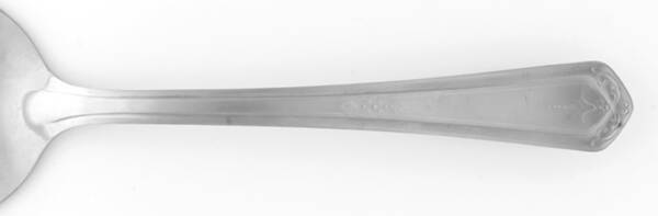 DS, Ds5 (Stainless) | Replacements, Ltd.
