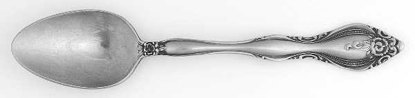 EVS15 (STAINLESS) by Everbrite Stainless