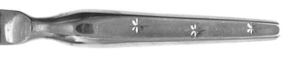 EVS19 (Stainless) by Everbrite Stainless