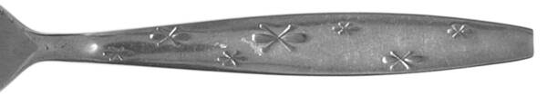Sun Star(Stainless) by Everbrite Stainless