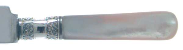 Pearl Handle Flatware 1 (Sterling) by EC Simmons