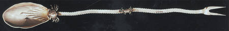 GS143 (Sterling) by Gorham Silver